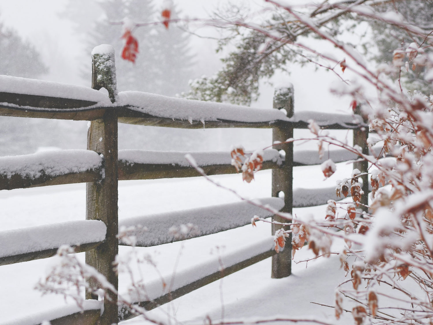 Can I leave wicker furniture outside in winter?