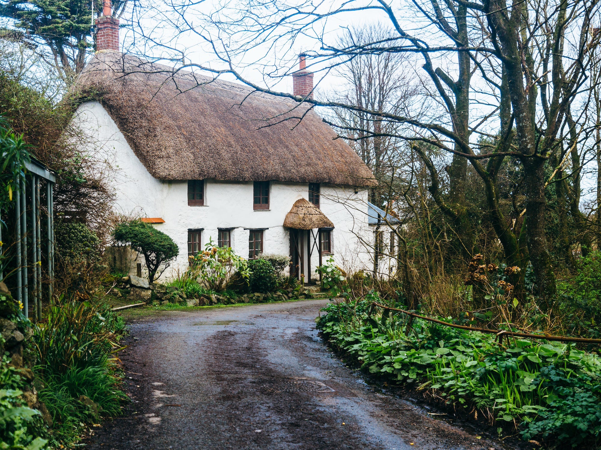 How to grow wildflowers in an English Country Garden with The Garden Ninja