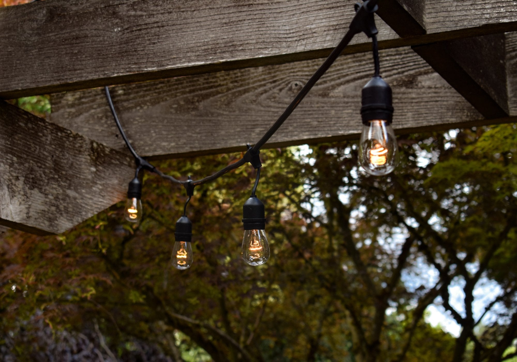 The Lazy Susan Guide to Garden Lighting