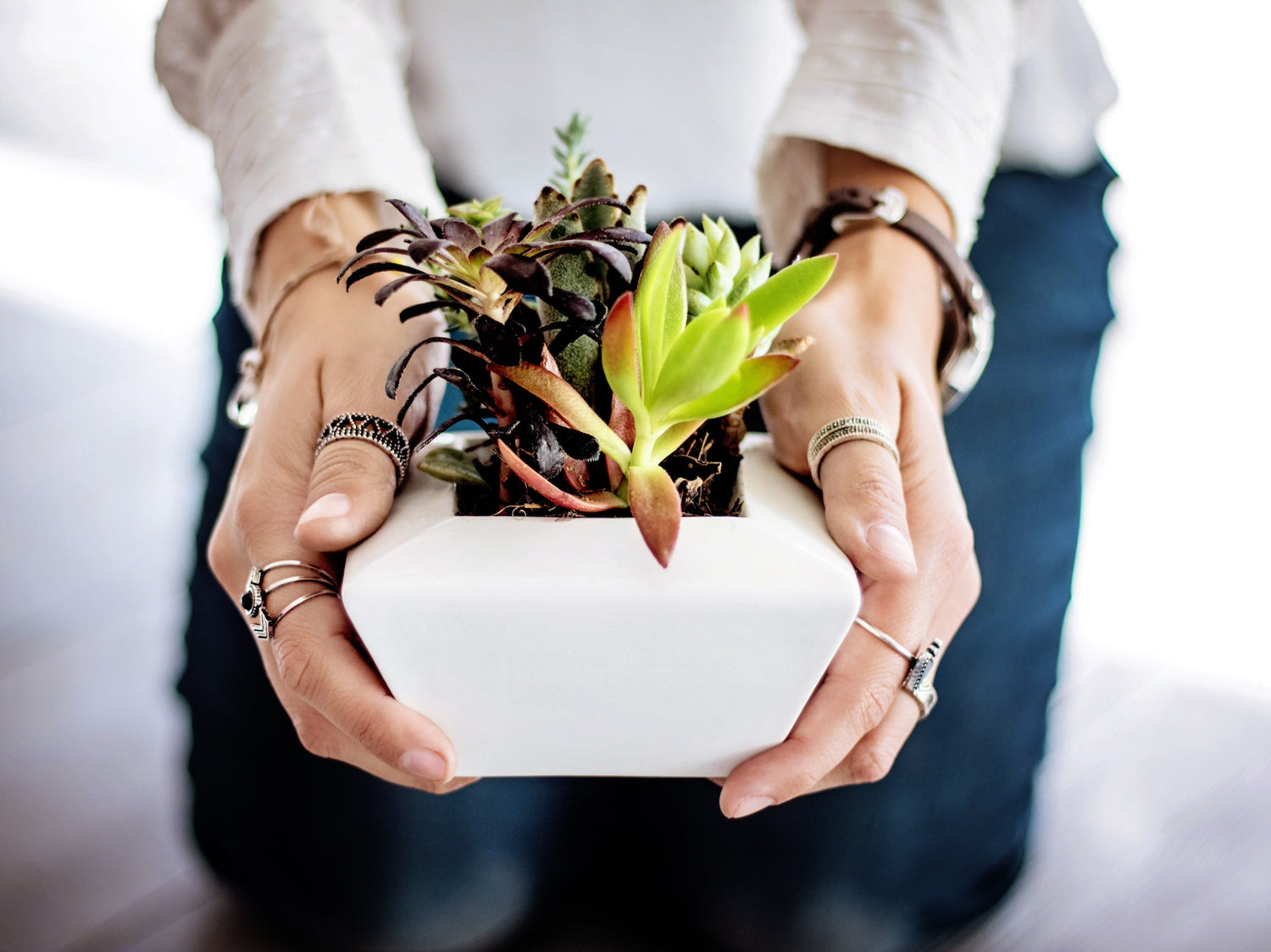 How to plant the perfect outdoor table centrepiece