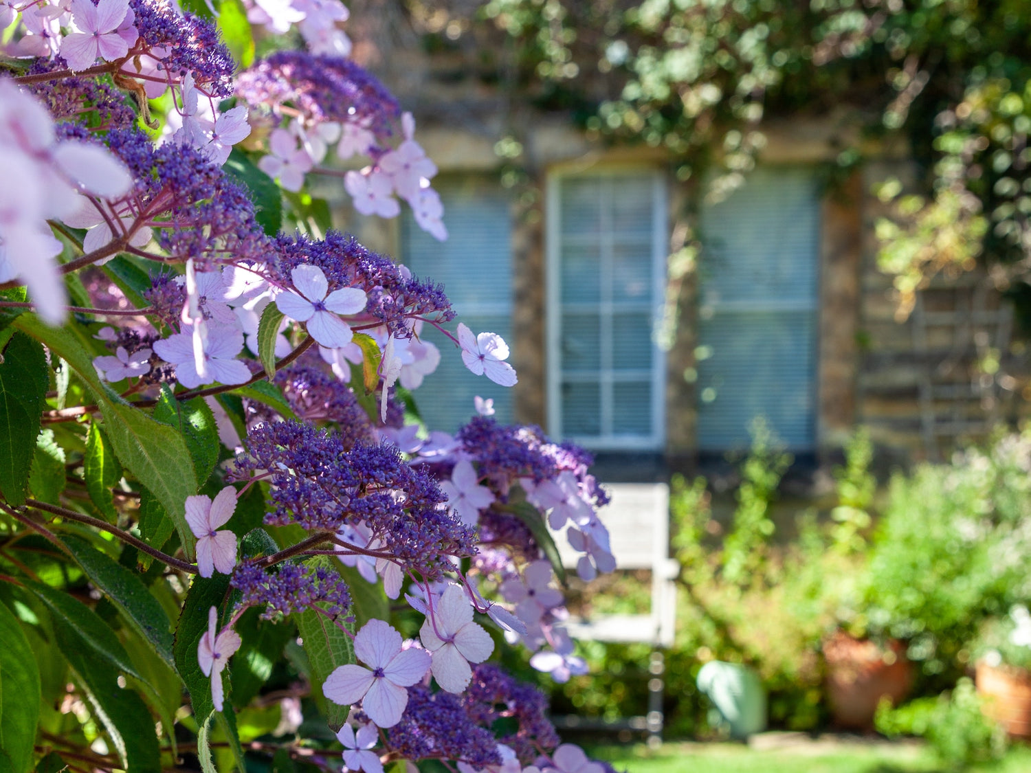 English country garden design tips and inspiration from Lazy Susan