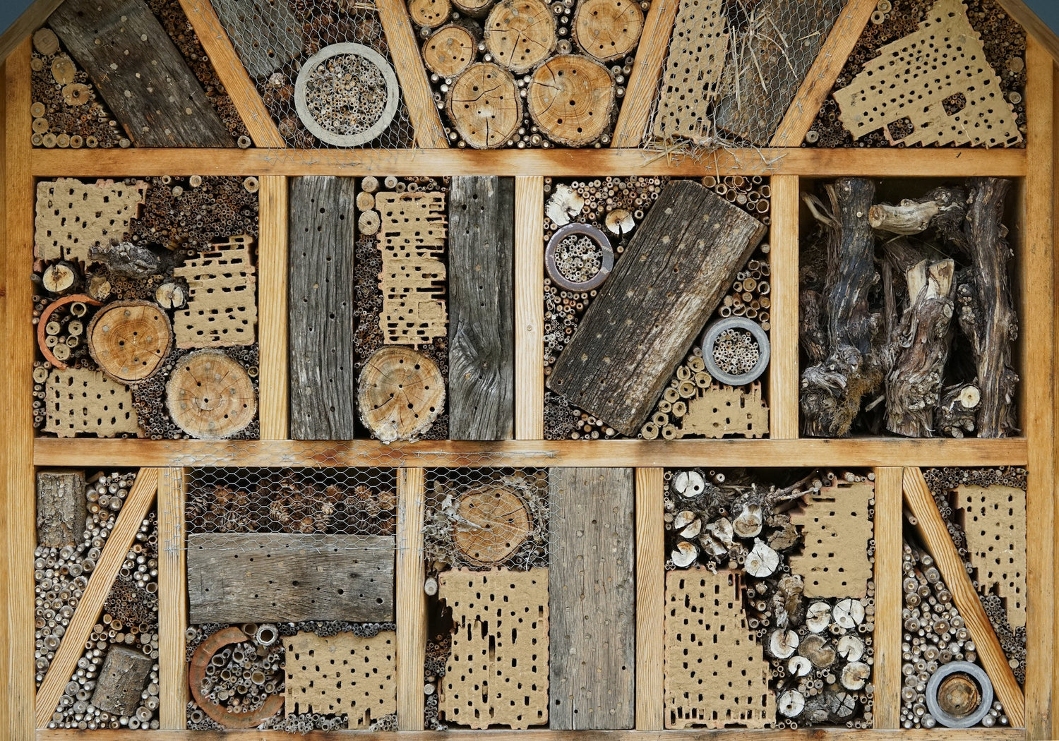 Build a bug hotel with the kids