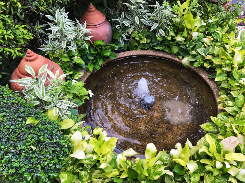 Sit back & relax: How to create a calming garden haven