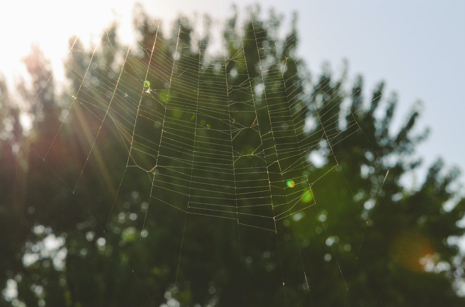 How to stop spider webs on outdoor furniture