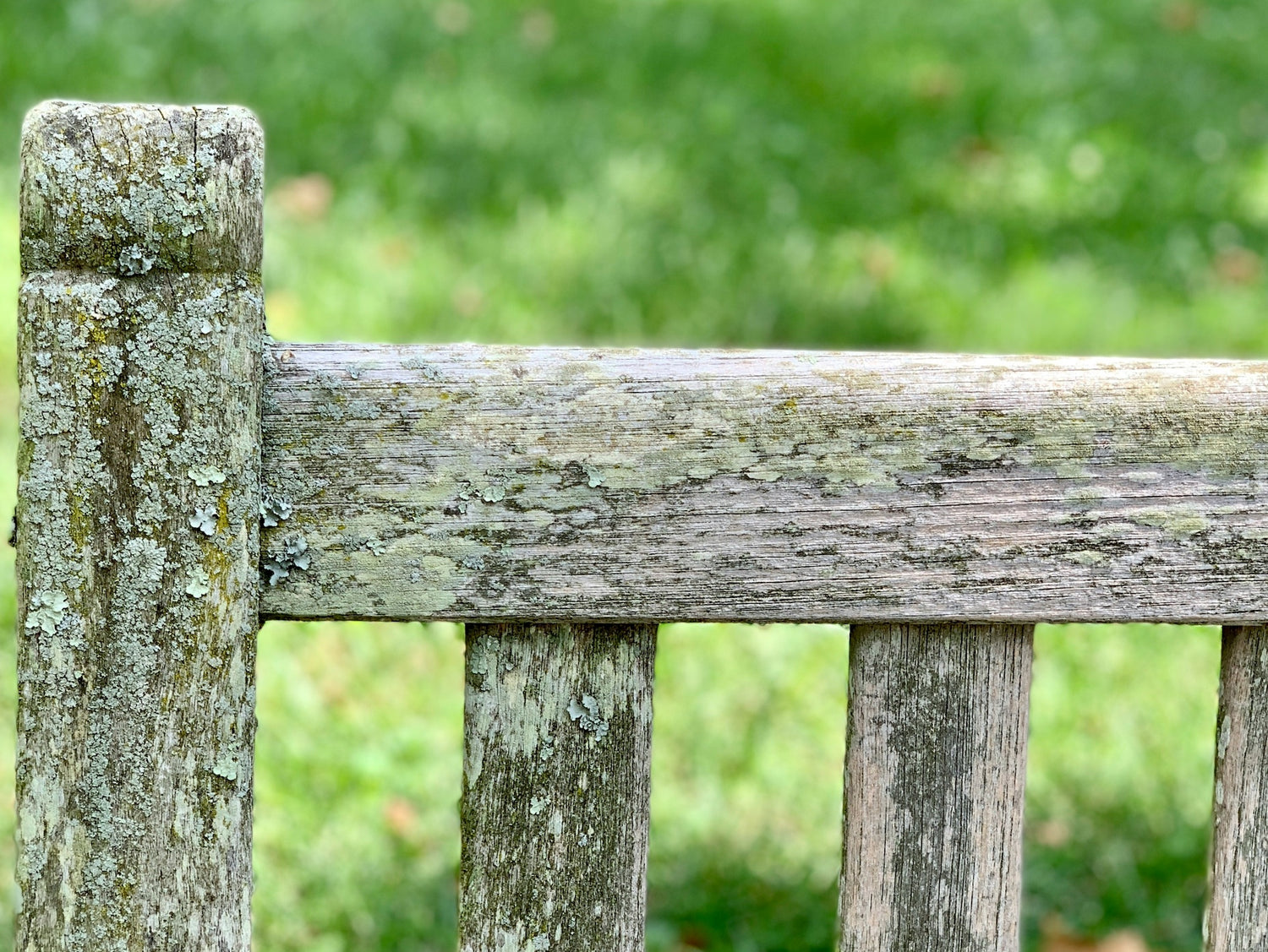 How do you get green algae off garden furniture?