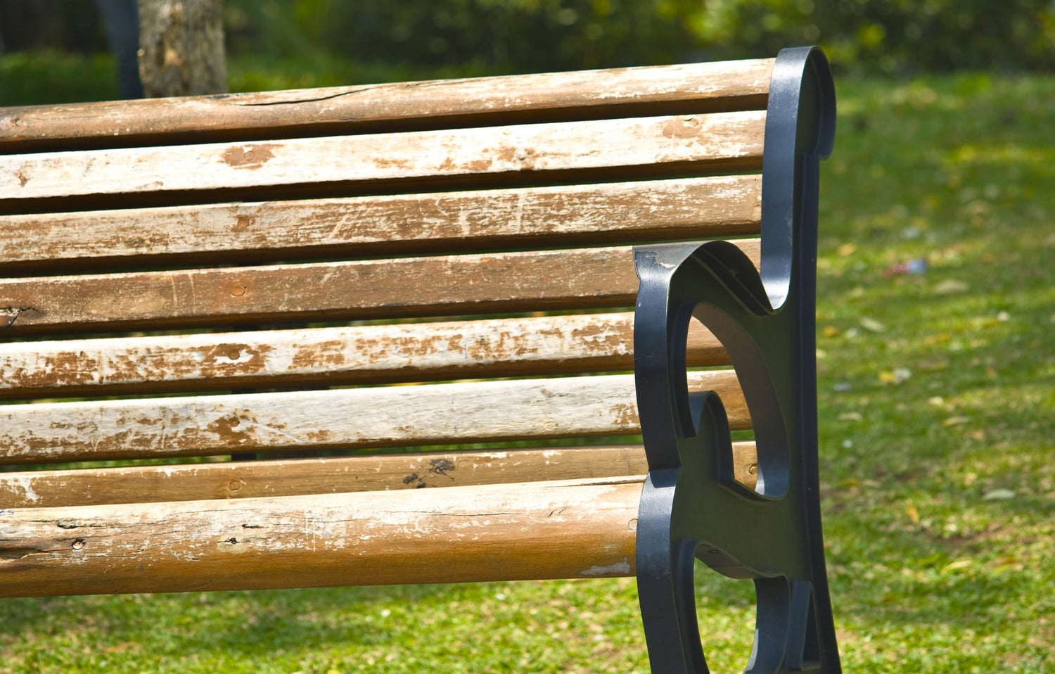 Why choose softwood garden furniture?