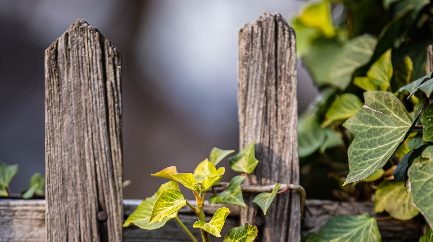 What is the best way to tackle a fence or boundary dispute?