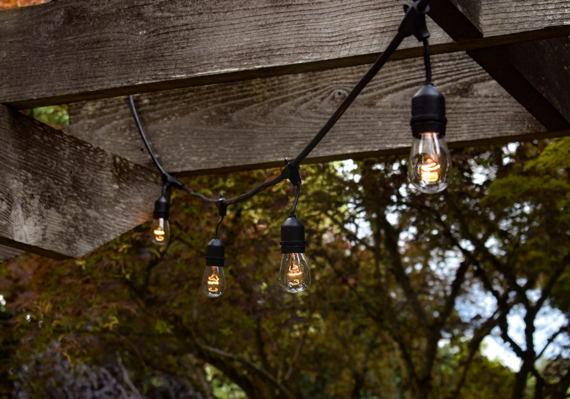 How to install festoon garden lights