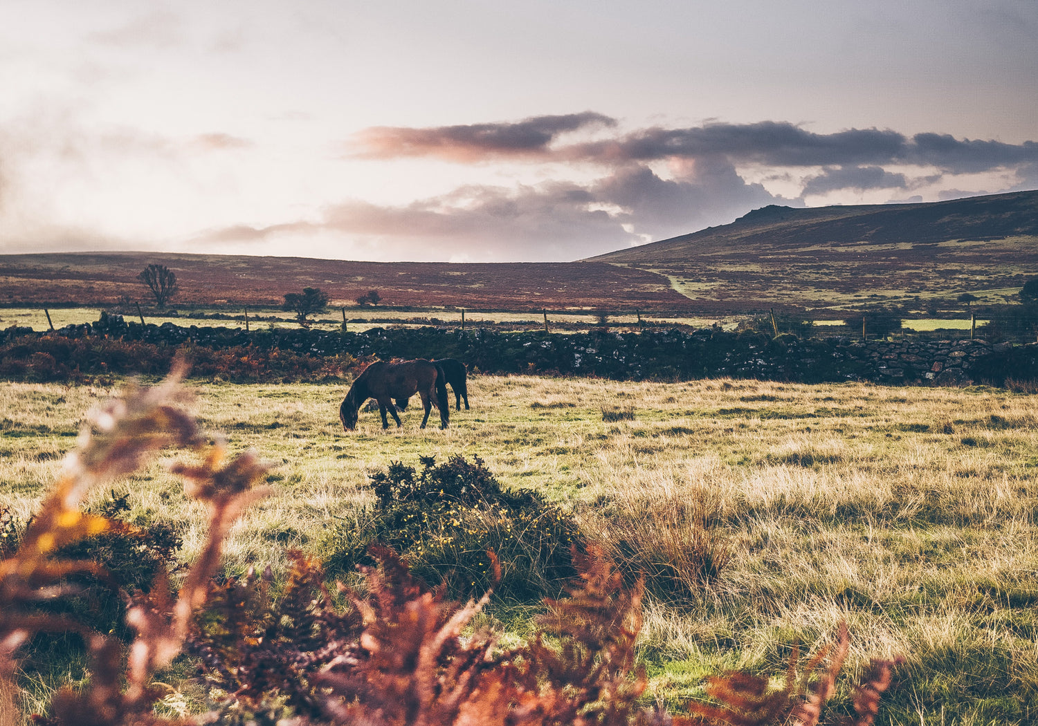 Summertime strolls: Our top ten walks this summer