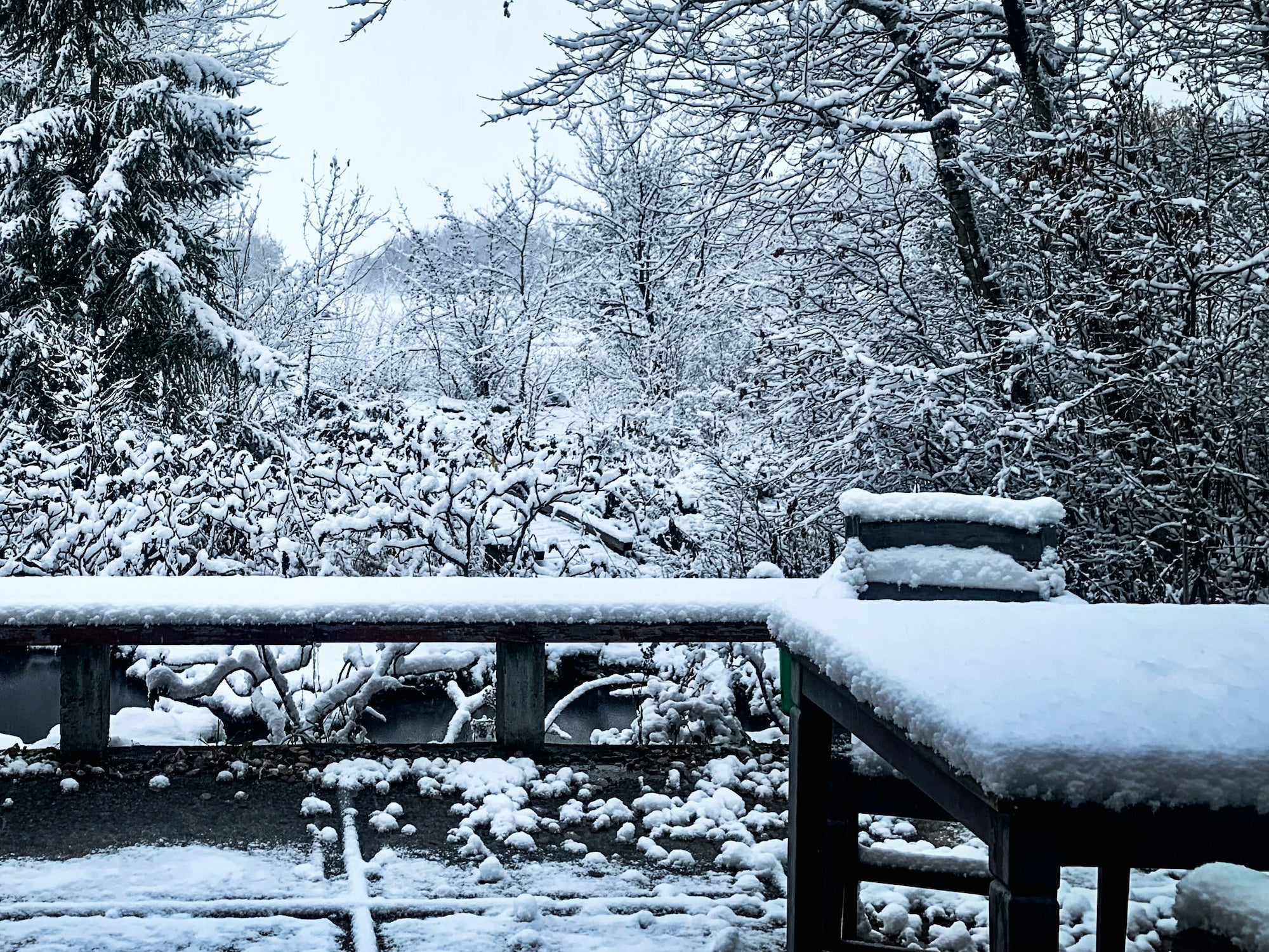 Should wooden garden furniture be covered in winter?