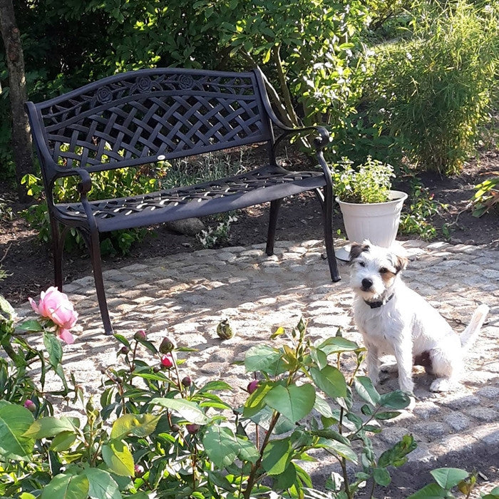 Rose Bench - Antique Bronze