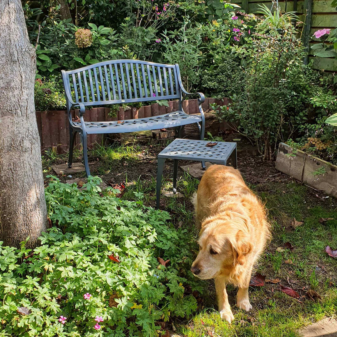 Grace Bench - Slate