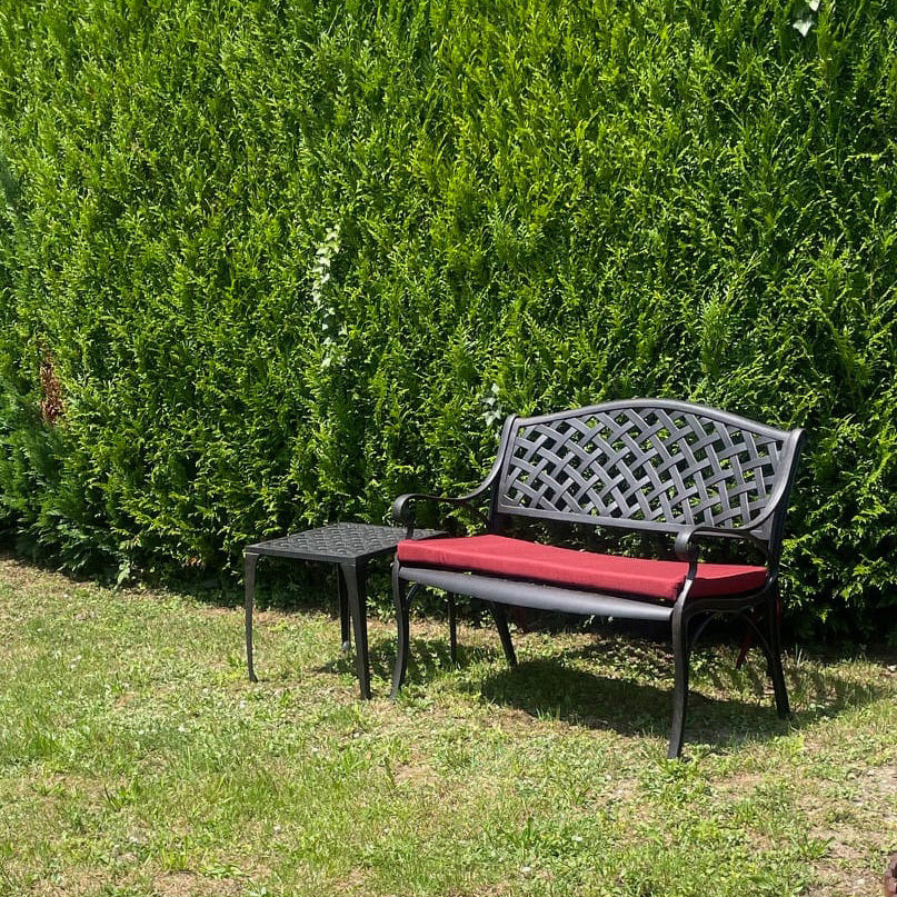 Jasmine Bench - Antique Bronze