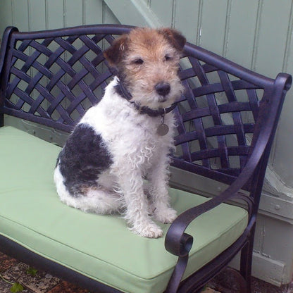 Lattice Bench Cushion - Green