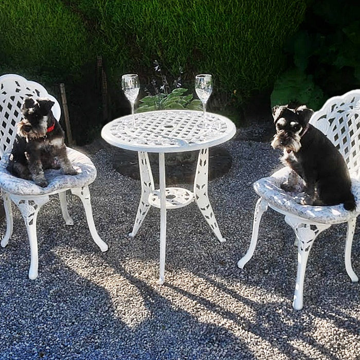 Rose Bistro Set Table &amp; 2 Chairs - White