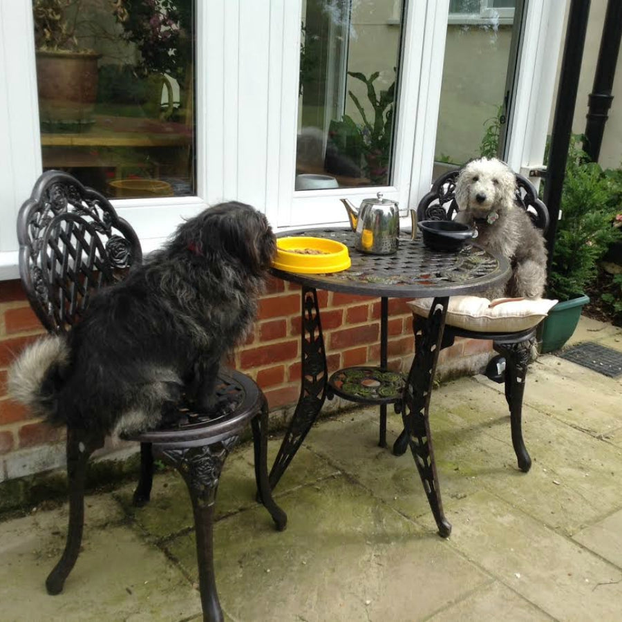 Rose Bistro Set Table &amp; 2 Chairs - Antique Bronze