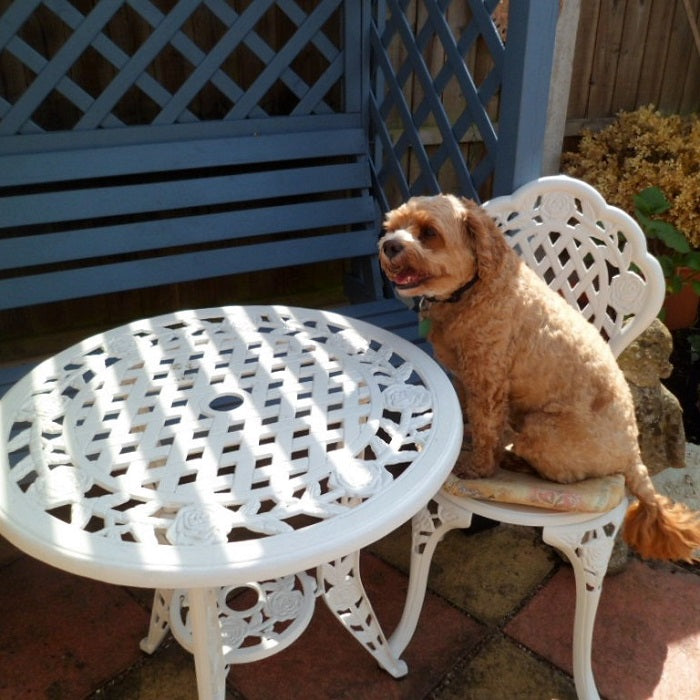 Rose Bistro Set Table &amp; 2 Chairs - White