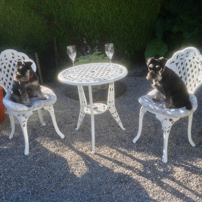 Rose Bistro Set Table &amp; 2 Chairs - White