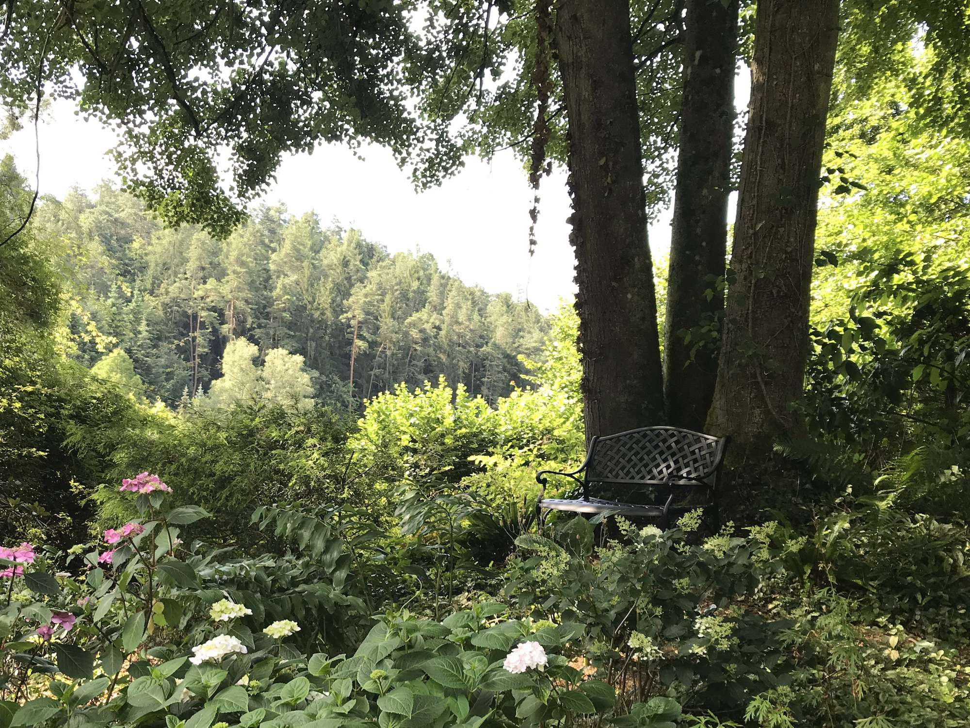 how-to-remove-tree-sap-from-outdoor-furniture-lazy-susan